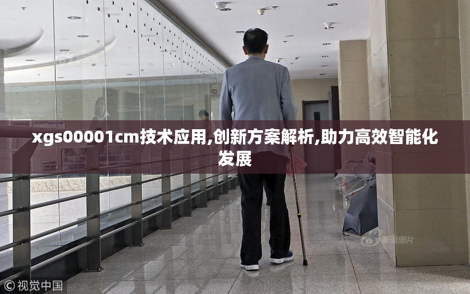 xgs00001cm技术应用,创新方案解析,助力高效智能化发展