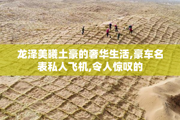 龙泽美曦土豪的奢华生活,豪车名表私人飞机,令人惊叹的