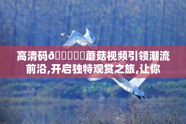 高清码🔞❌♋蘑菇视频引领潮流前沿,开启独特观赏之旅,让你