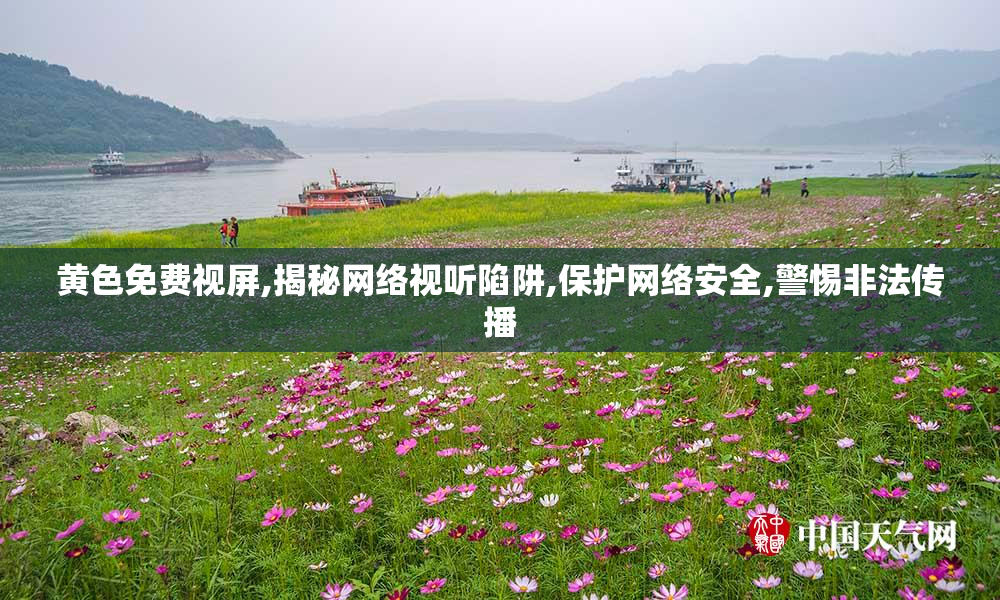 黄色免费视屏,揭秘网络视听陷阱,保护网络安全,警惕非法传播