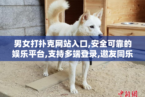 男女打扑克网站入口,安全可靠的娱乐平台,支持多端登录,邀友同乐更