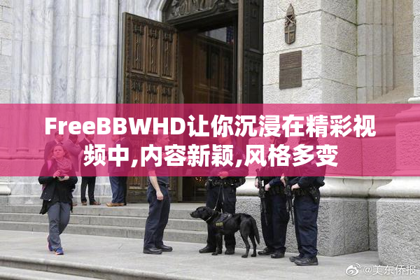 FreeBBWHD让你沉浸在精彩视频中,内容新颖,风格多变