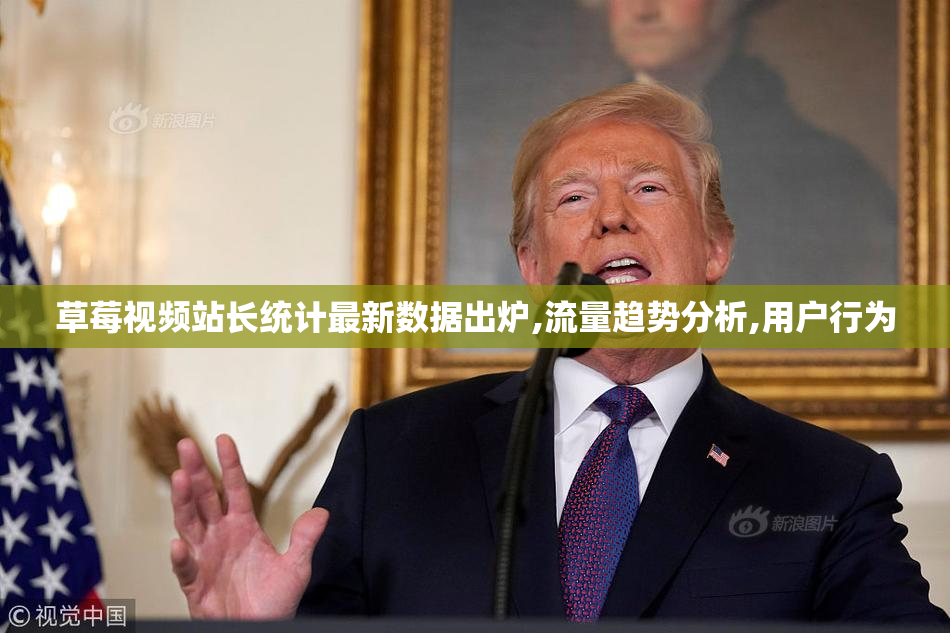 草莓视频站长统计最新数据出炉,流量趋势分析,用户行为