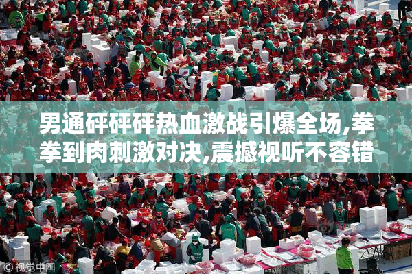 男通砰砰砰热血激战引爆全场,拳拳到肉刺激对决,震撼视听不容错过