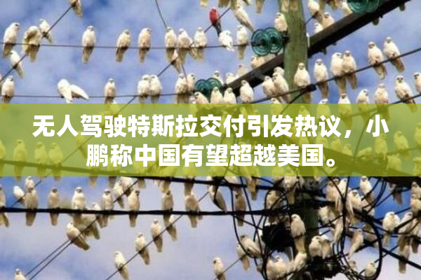 无人驾驶特斯拉交付引发热议，小鹏称中国有望超越美国。