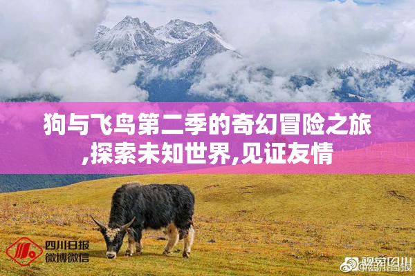 狗与飞鸟第二季的奇幻冒险之旅,探索未知世界,见证友情
