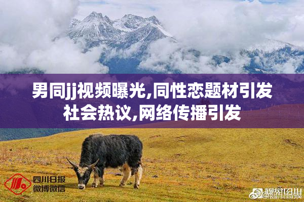 男同jj视频曝光,同性恋题材引发社会热议,网络传播引发