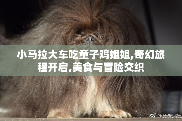 小马拉大车吃童子鸡姐姐,奇幻旅程开启,美食与冒险交织