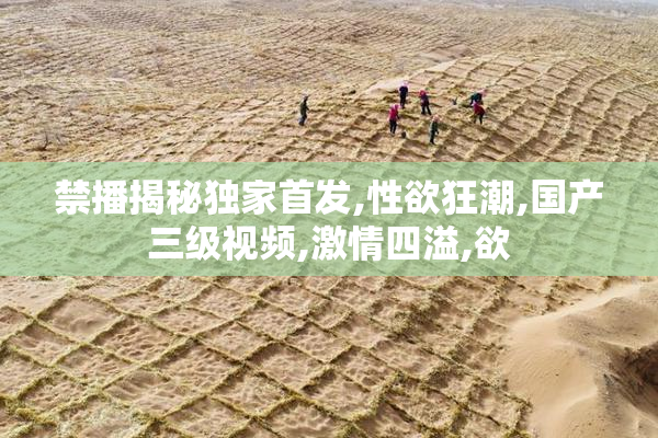 禁播揭秘独家首发,性欲狂潮,国产三级视频,激情四溢,欲