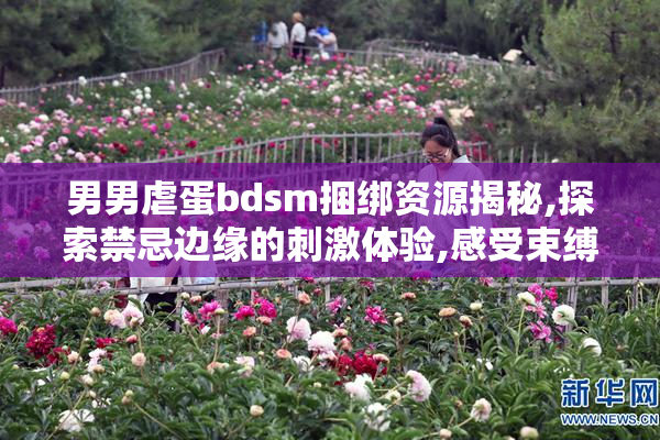 男男虐蛋bdsm捆绑资源揭秘,探索禁忌边缘的刺激体验,感受束缚与