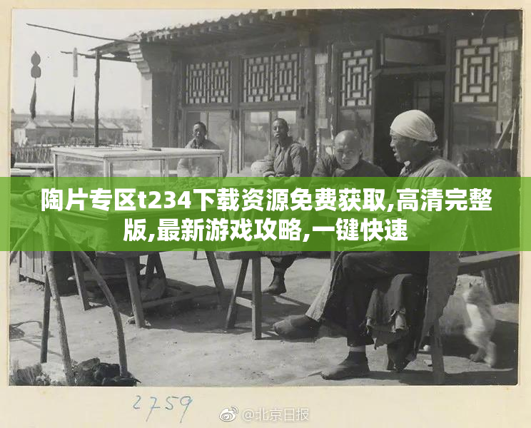 陶片专区t234下载资源免费获取,高清完整版,最新游戏攻略,一键快速