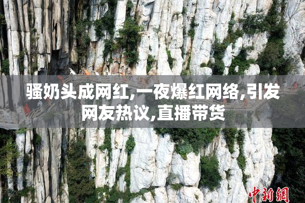 骚奶头成网红,一夜爆红网络,引发网友热议,直播带货