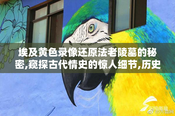 埃及黄色录像还原法老陵墓的秘密,窥探古代情史的惊人细节,历史与