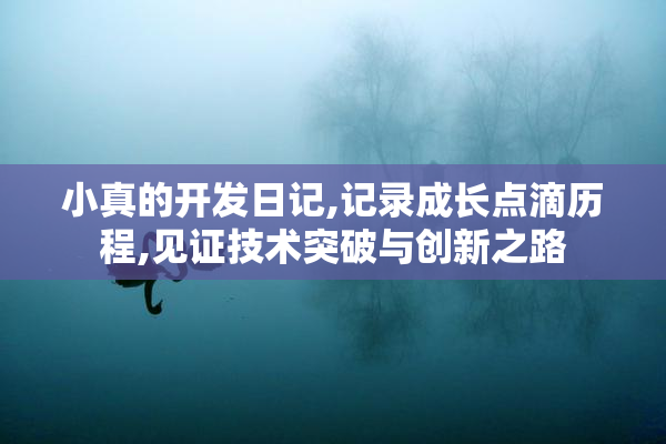 小真的开发日记,记录成长点滴历程,见证技术突破与创新之路