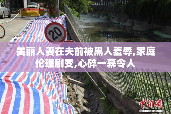 美丽人妻在夫前被黑人羞辱,家庭伦理剧变,心碎一幕令人