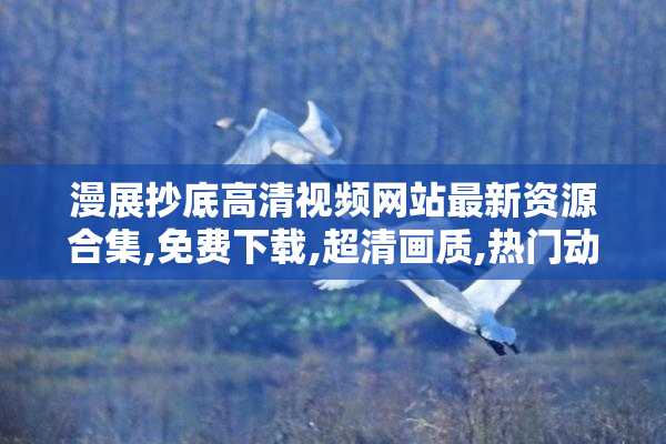漫展抄底高清视频网站最新资源合集,免费下载,超清画质,热门动漫展
