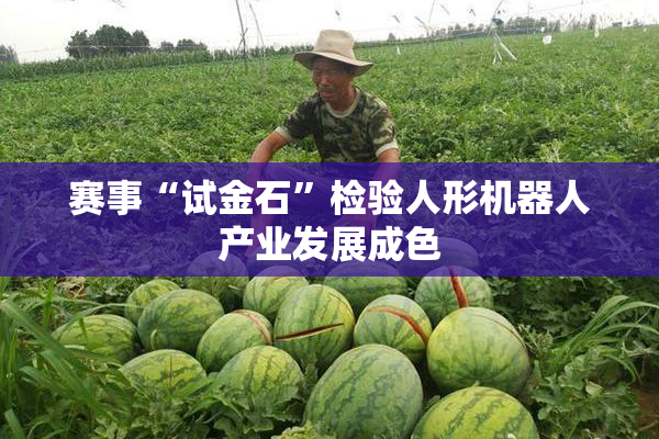 赛事“试金石”检验人形机器人产业发展成色