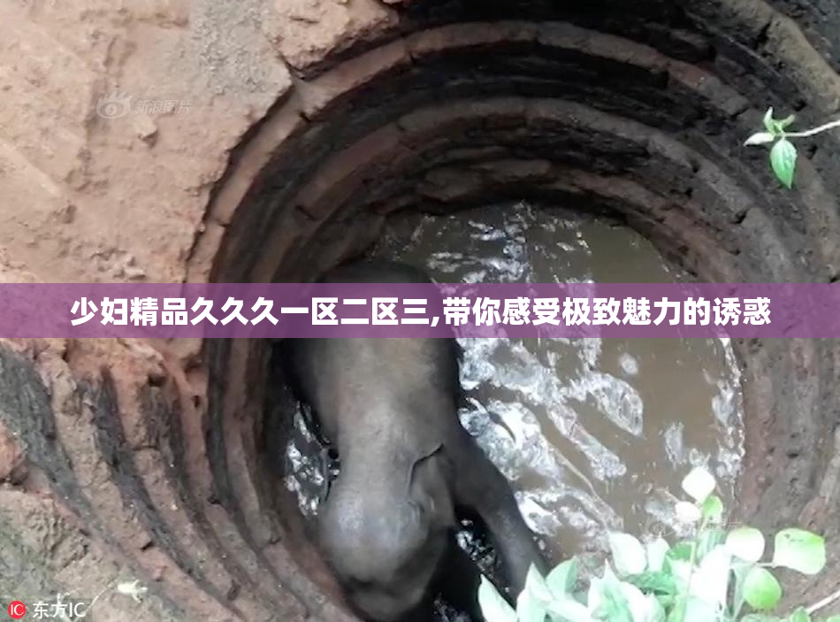 少妇精品久久久一区二区三,带你感受极致魅力的诱惑