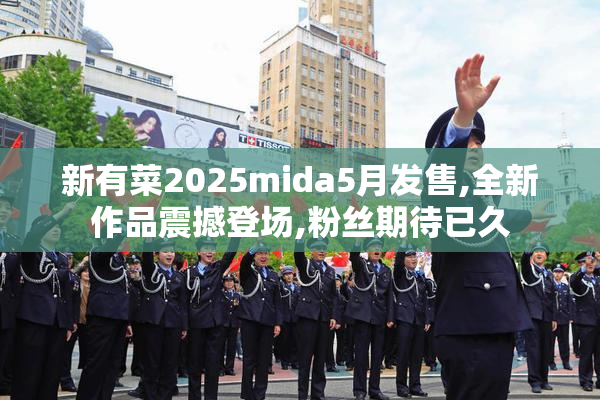 新有菜2025mida5月发售,全新作品震撼登场,粉丝期待已久