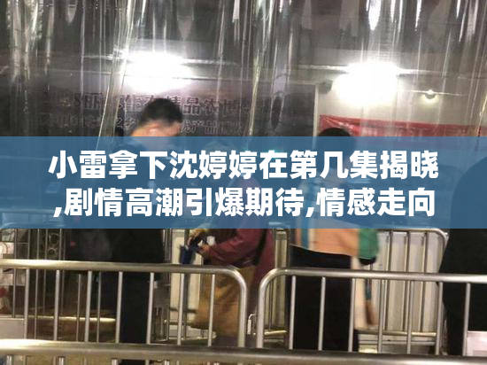 小雷拿下沈婷婷在第几集揭晓,剧情高潮引爆期待,情感走向引发热议