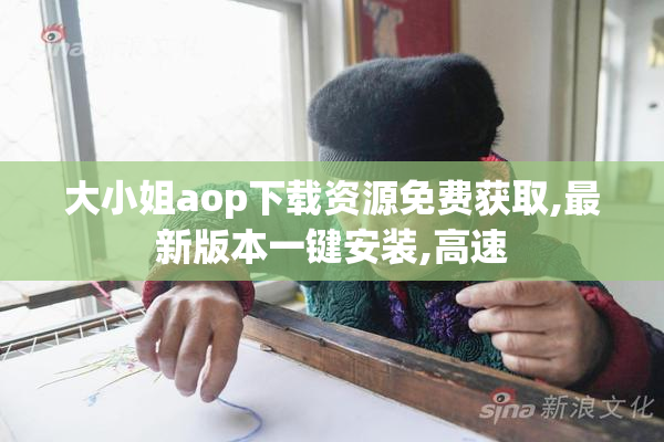 大小姐aop下载资源免费获取,最新版本一键安装,高速