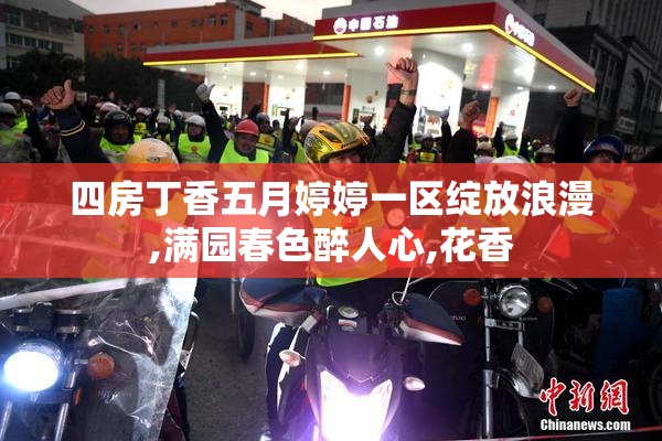 四房丁香五月婷婷一区绽放浪漫,满园春色醉人心,花香