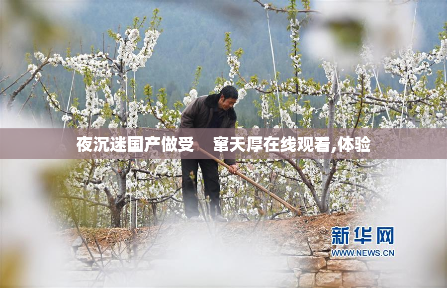 夜沉迷国产做受    窜天厚在线观看,体验