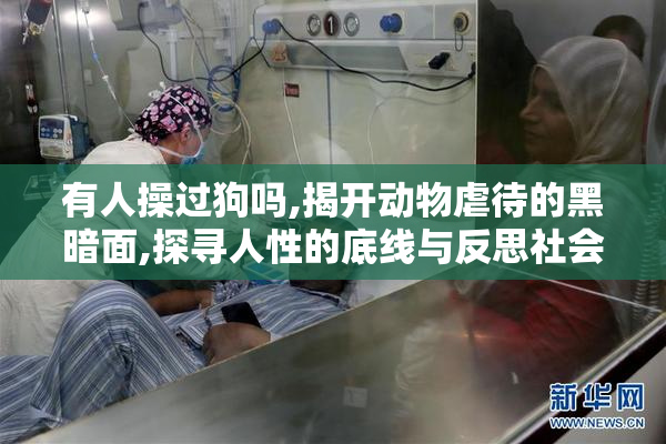 有人操过狗吗,揭开动物虐待的黑暗面,探寻人性的底线与反思社会
