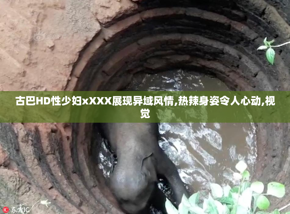 古巴HD性少妇xXXX展现异域风情,热辣身姿令人心动,视觉