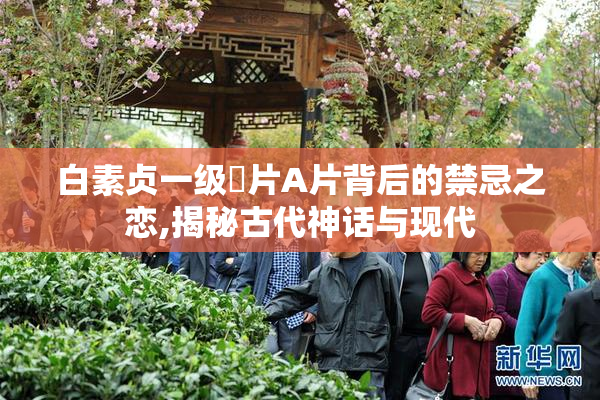 白素贞一级婬片A片背后的禁忌之恋,揭秘古代神话与现代