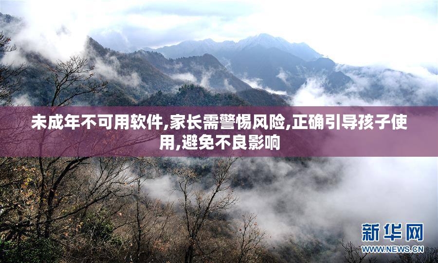 未成年不可用软件,家长需警惕风险,正确引导孩子使用,避免不良影响