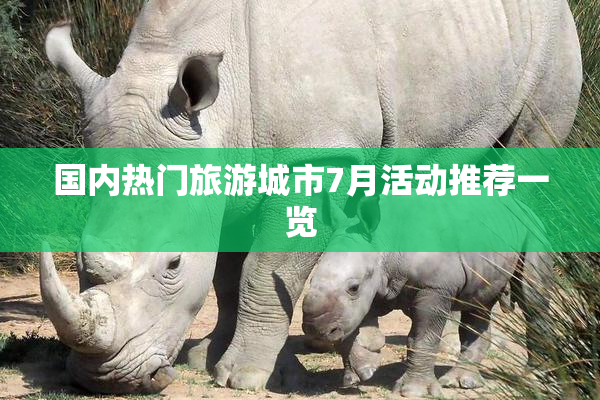 国内热门旅游城市7月活动推荐一览