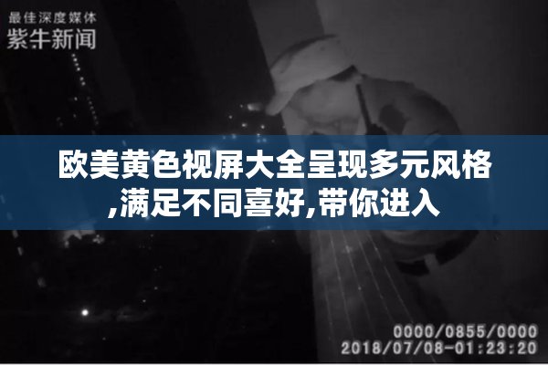 欧美黄色视屏大全呈现多元风格,满足不同喜好,带你进入