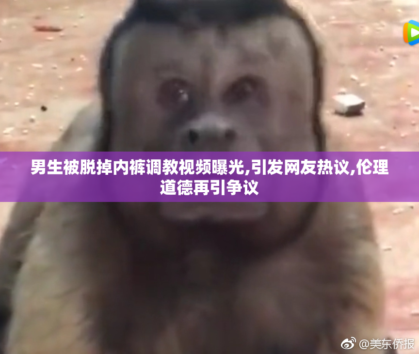 男生被脱掉内裤调教视频曝光,引发网友热议,伦理道德再引争议