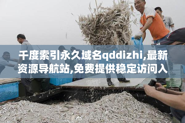千度索引永久域名qddizhi,最新资源导航站,免费提供稳定访问入口