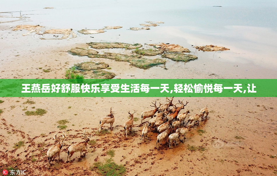 王燕岳好舒服快乐享受生活每一天,轻松愉悦每一天,让