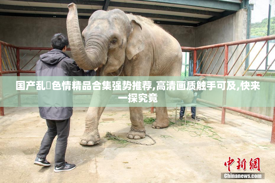 国产乱伀色情精品合集强势推荐,高清画质触手可及,快来一探究竟