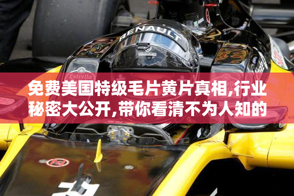 免费美国特级毛片黄片真相,行业秘密大公开,带你看清不为人知的一