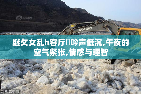 继攵女乱h客厅呾吟声低沉,午夜的空气紧张,情感与理智