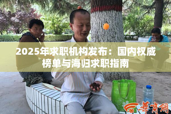 2025年求职机构发布：国内权威榜单与海归求职指南