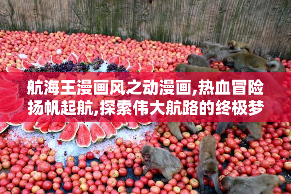 航海王漫画风之动漫画,热血冒险扬帆起航,探索伟大航路的终极梦想