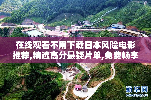在线观看不用下载日本风险电影推荐,精选高分悬疑片单,免费畅享