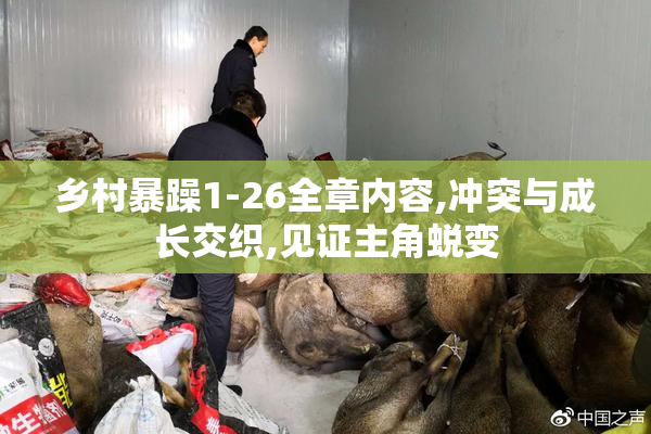 乡村暴躁1-26全章内容,冲突与成长交织,见证主角蜕变