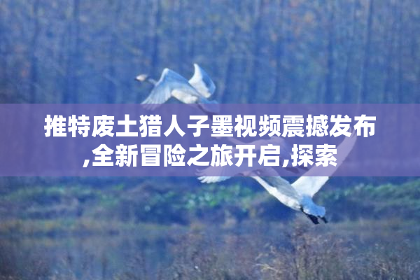 推特废土猎人子墨视频震撼发布,全新冒险之旅开启,探索