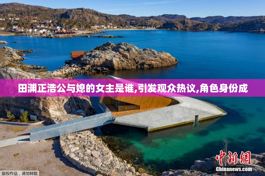 田渊正浩公与媳的女主是谁,引发观众热议,角色身份成