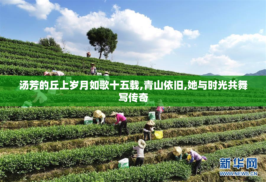 汤芳的丘上岁月如歌十五载,青山依旧,她与时光共舞写传奇