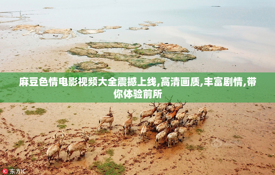 麻豆色情电影视频大全震撼上线,高清画质,丰富剧情,带你体验前所