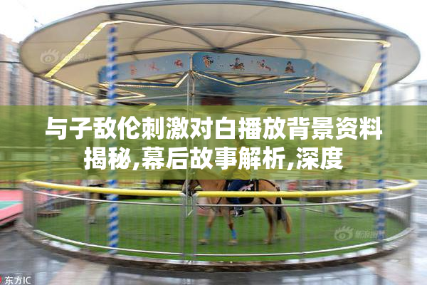 与子敌伦刺激对白播放背景资料揭秘,幕后故事解析,深度