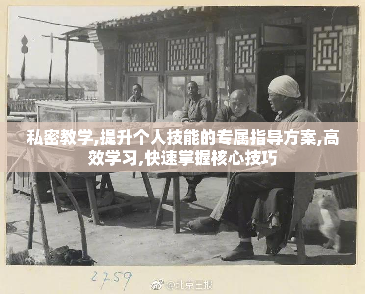 私密教学,提升个人技能的专属指导方案,高效学习,快速掌握核心技巧
