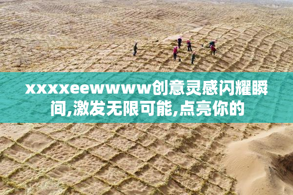 xxxxeewwww创意灵感闪耀瞬间,激发无限可能,点亮你的
